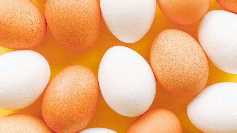 Why you should choose the eggshell membrane over other collagen-rich products